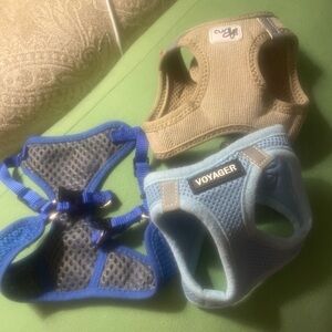 Extra small dog harness bundle